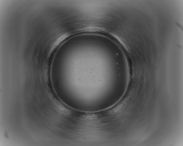 X0000098161410200804241753
