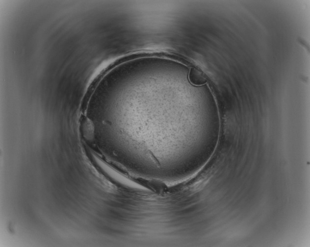X0000098161412200804241753