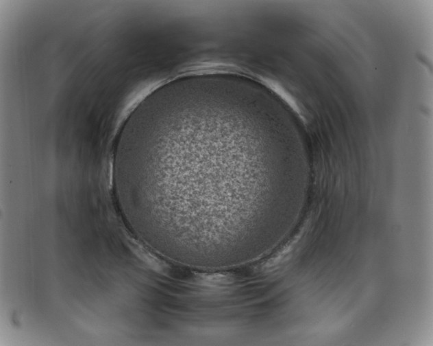 X0000098161413200804241753