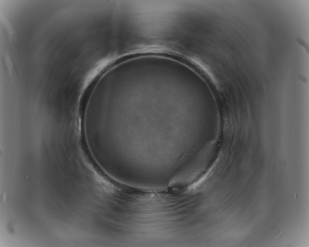 X0000098161414200804241753