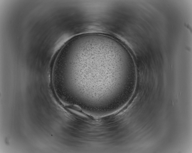 X0000098161415200804241753