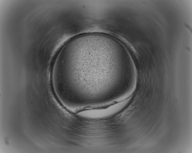 X0000098161416200804241753