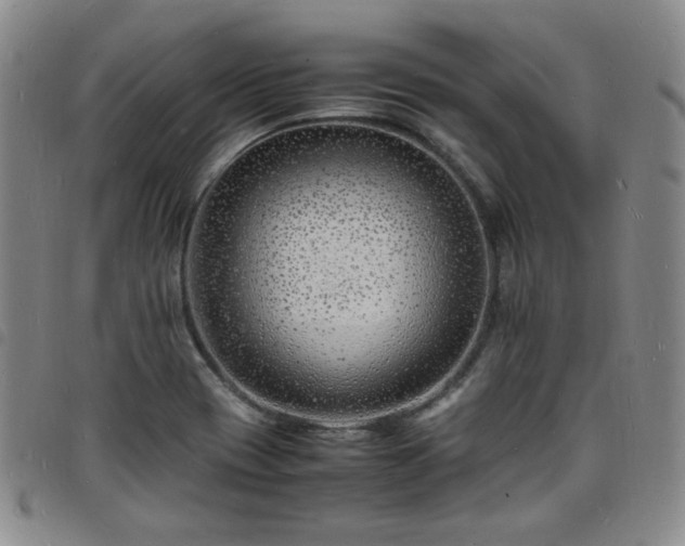 X0000098161417200804241753