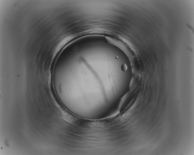 X0000098161418200804241753