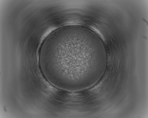X0000098161419200804241753