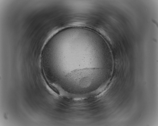 X0000098161421200804241753