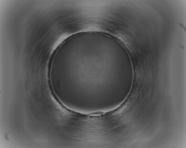 X0000098161422200804241753