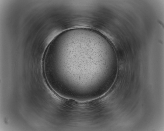 X0000098161423200804241753