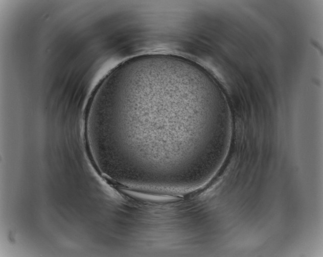 X0000098161424200804241753