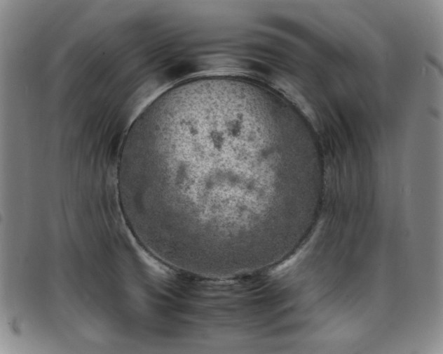 X0000098161425200804241753