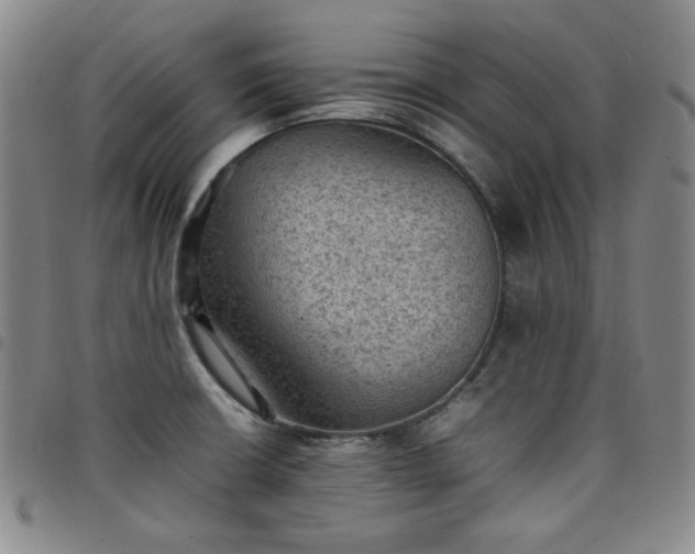 X0000098161426200804241753