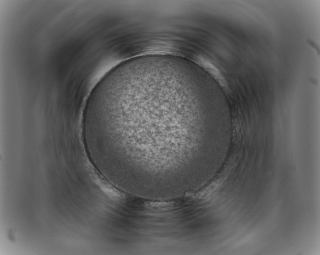 X0000098161427200804241753