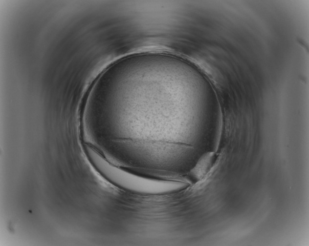 X0000098161430200804241753