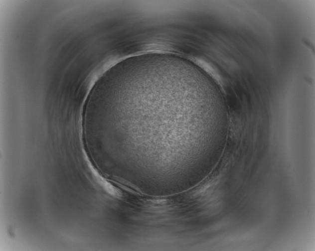 X0000098161431200804241753