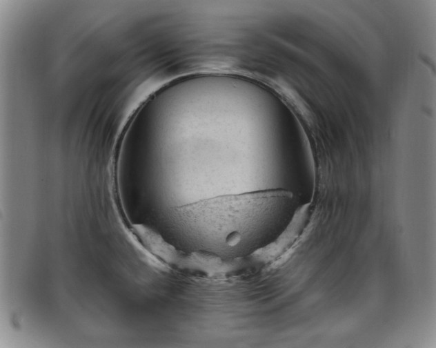 X0000098161432200804241753