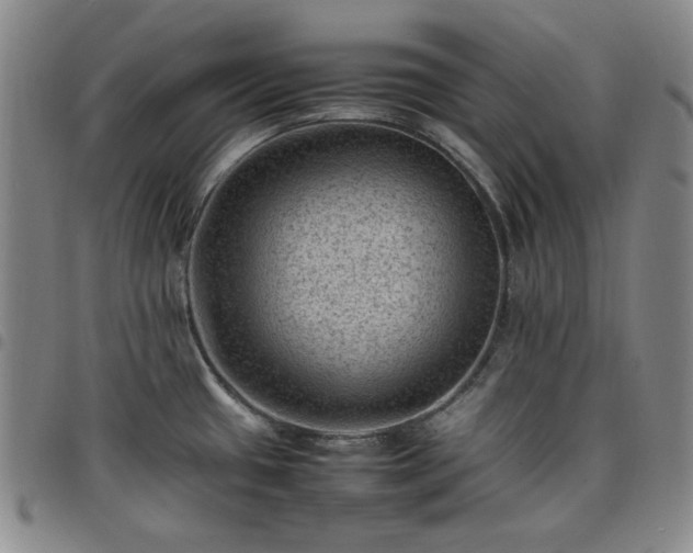 X0000098161433200804241753