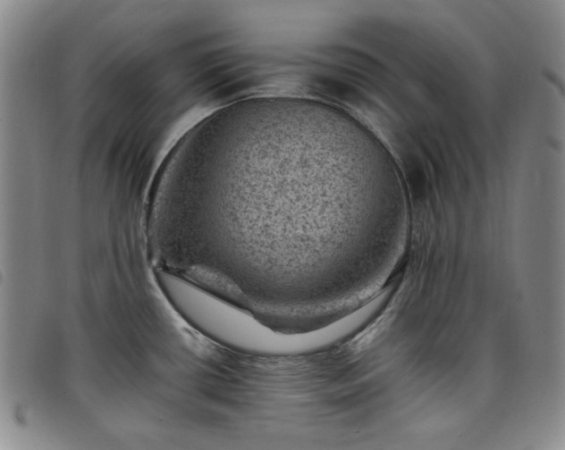 X0000098161434200804241753