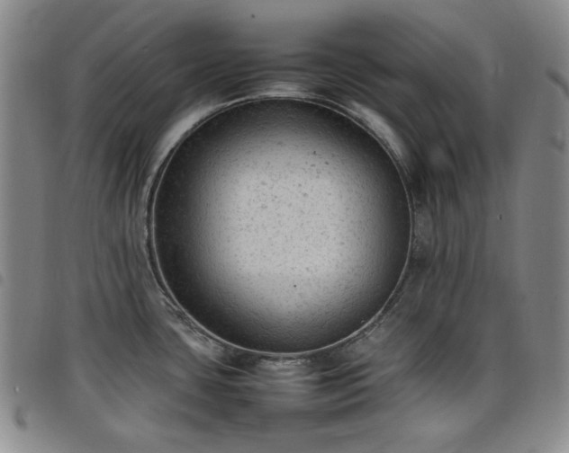 X0000098161435200804241753