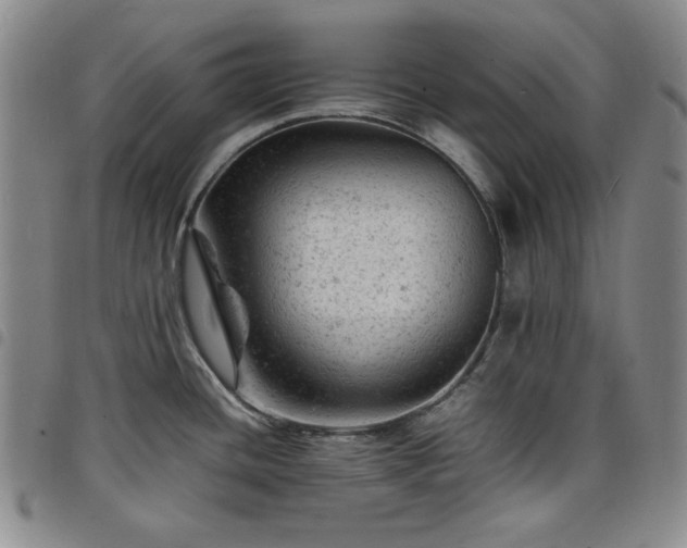 X0000098161436200804241753