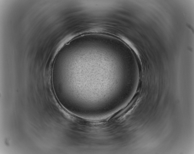 X0000098161437200804241753
