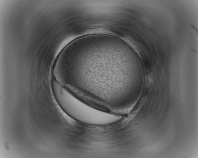 X0000098161438200804241753