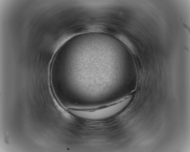 X0000098161439200804241753