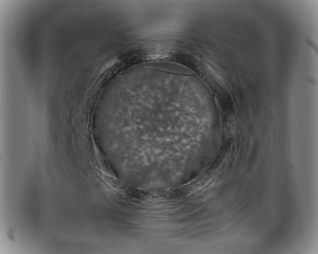 X0000098161441200804241752