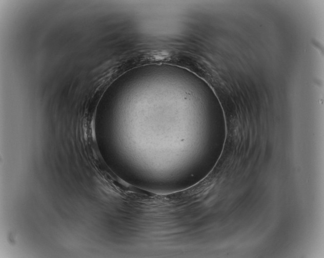 X0000098161442200804241752