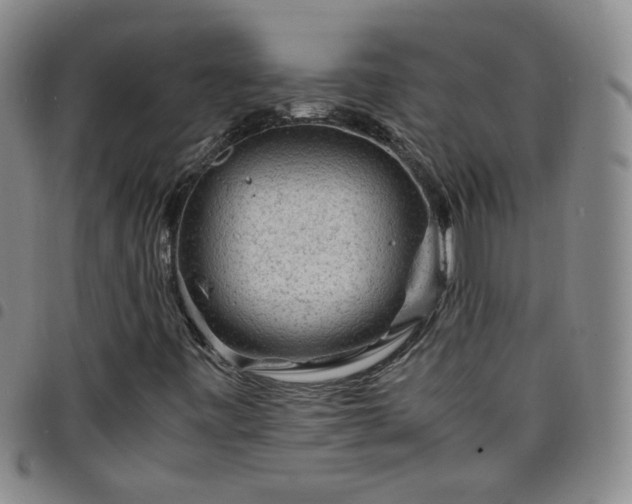 X0000098161443200804241752