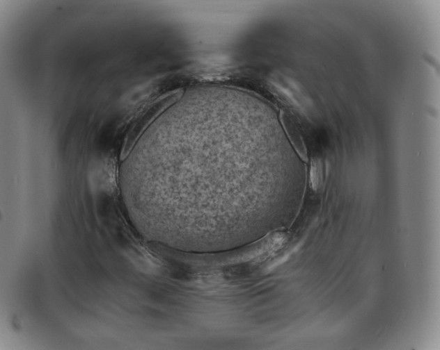 X0000098161444200804241752