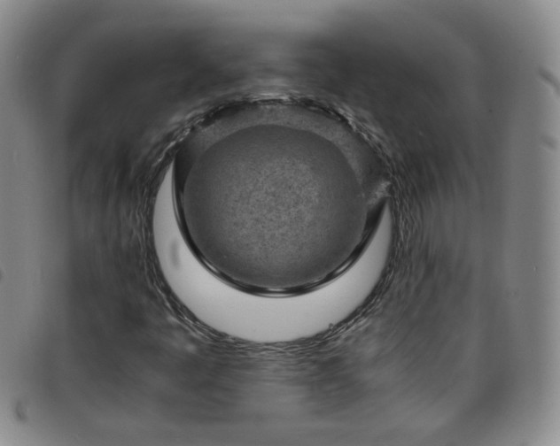 X0000098161445200804241752
