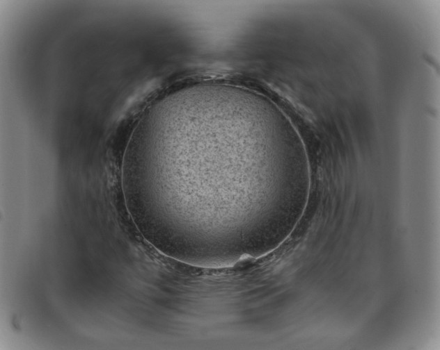 X0000098161447200804241752