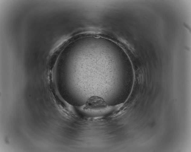 X0000098161448200804241752