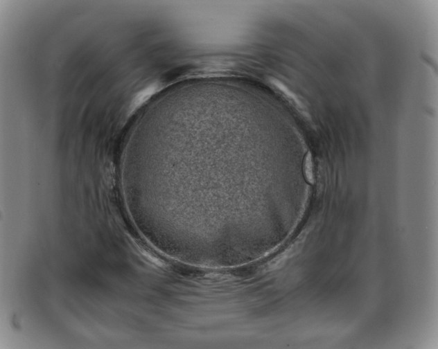 X0000098161449200804241752