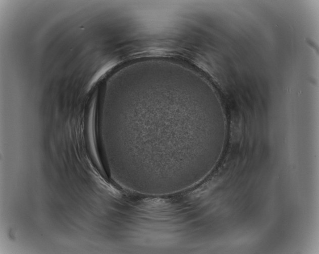 X0000098161450200804241752