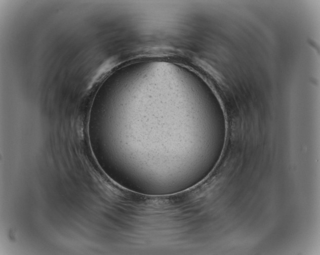 X0000098161451200804241752