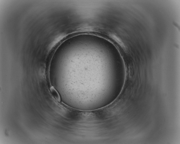 X0000098161452200804241752