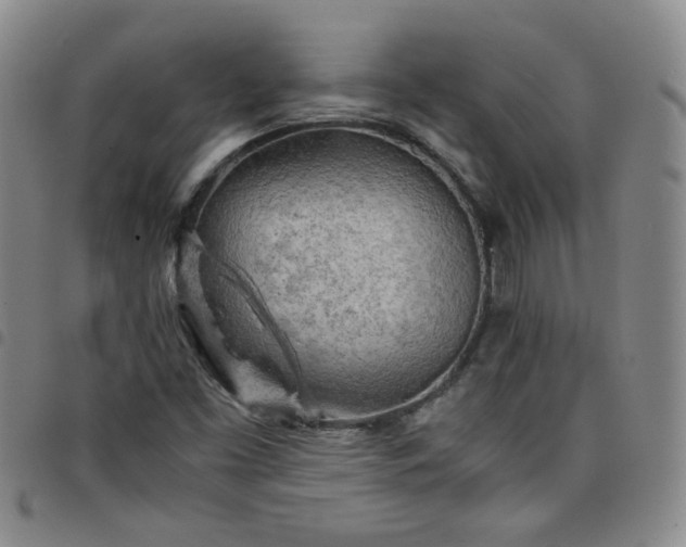 X0000098161453200804241752