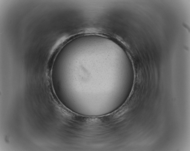 X0000098161454200804241752