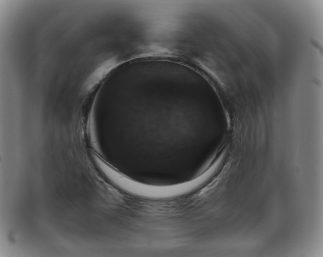 X0000098161455200804241752