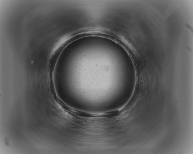 X0000098161456200804241752