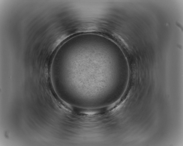 X0000098161457200804241752