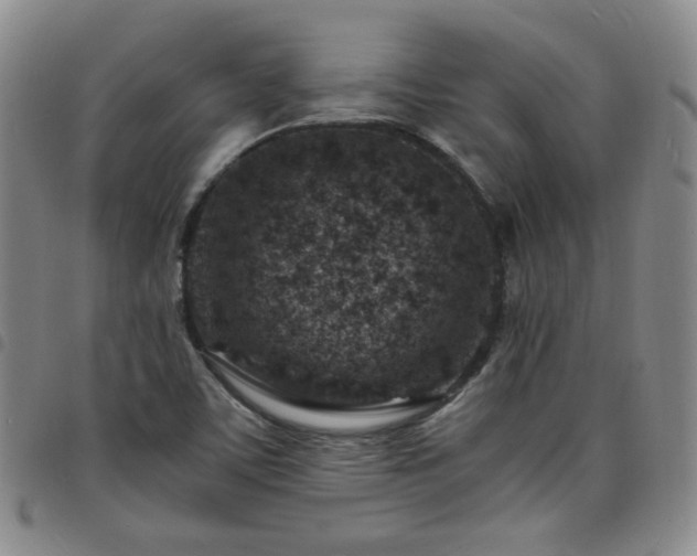 X0000098161459200804241752
