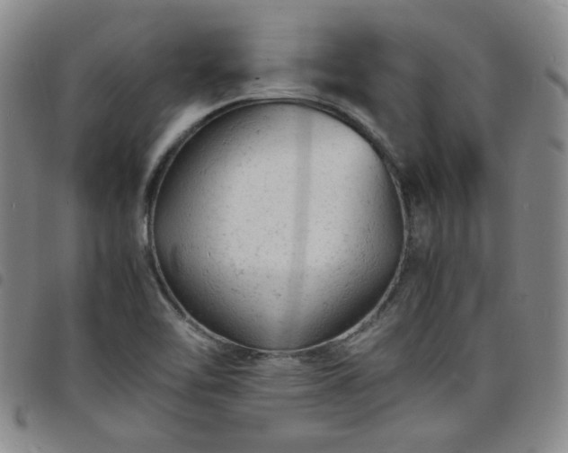 X0000098161462200804241752