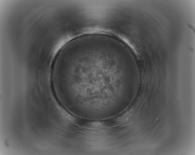 X0000098161463200804241752