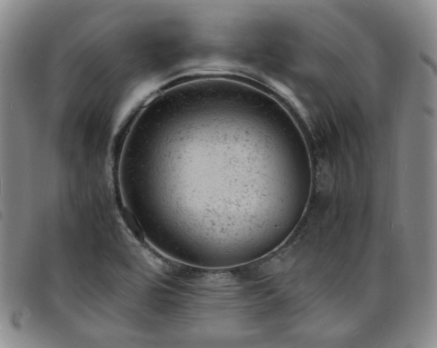 X0000098161464200804241752