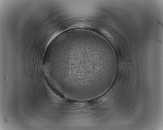 X0000098161465200804241752
