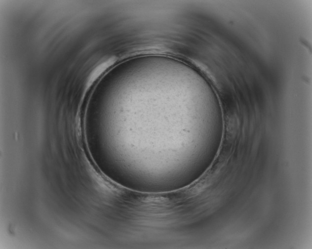 X0000098161466200804241752
