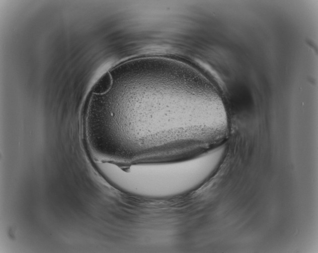 X0000098161467200804241752