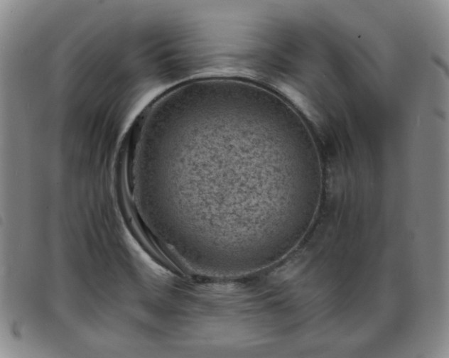 X0000098161468200804241752
